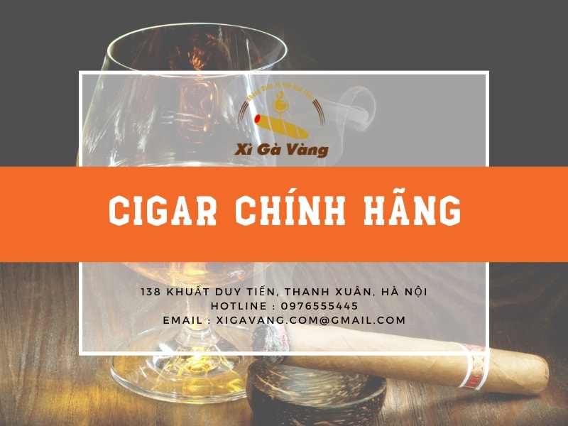 Lựa chọn Xì Gà Vàng để trải nghiệm sản phẩm và dịch vụ tốt nhất